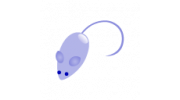 Hamster